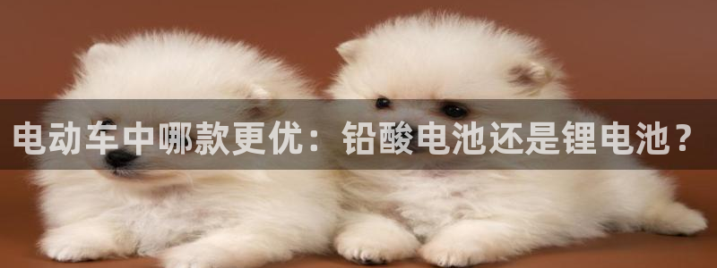 okpay钱包下载注册：电动车中哪款更优
