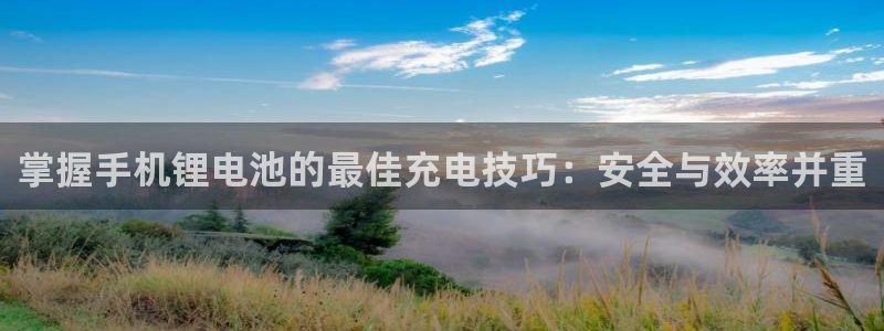 okpay钱包下载网址：掌握手机锂电池的