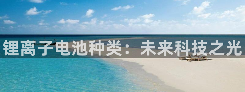 okpay钱包客服：锂离子电池种类：未来